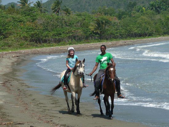 Centro Ecuestre Ammann